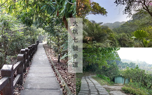 台中景點│大坑8號登山步道。挑戰枕木步道直達風動石公園,沿途風景幽美,台中一日遊 @Nini and Blue 玩樂食記 七號封面