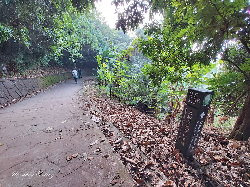 台中景點│大坑7號登山步道。適合親子健行悠閒散步步道,連接風動石公園,台中一日遊 @Nini and Blue 玩樂食記 20200105_090704_7