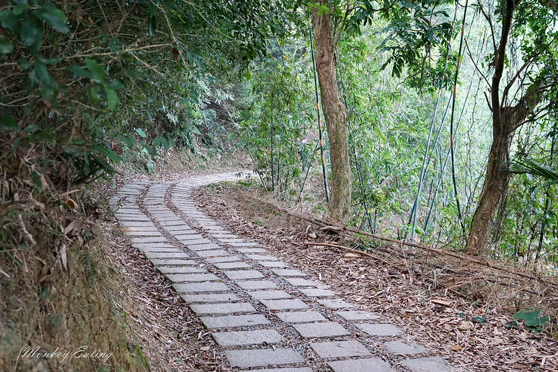 台中景點│大坑7號登山步道。適合親子健行悠閒散步步道,連接風動石公園,台中一日遊 @Nini and Blue 玩樂食記 DSC07442