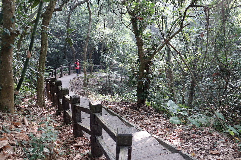 台中景點│大坑7號登山步道。適合親子健行悠閒散步步道,連接風動石公園,台中一日遊 @Nini and Blue 玩樂食記 DSC07435