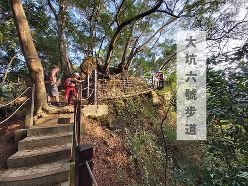 台中景點│大坑8號登山步道。挑戰枕木步道直達風動石公園,沿途風景幽美,台中一日遊 @Nini and Blue 玩樂食記 六號封面