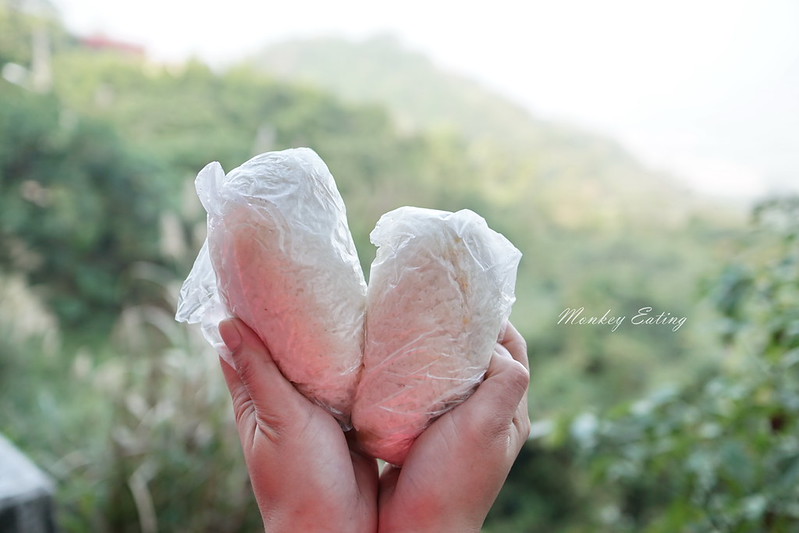 台中景點│大坑6號登山步道。峭壁繩索吊橋好刺激,沿途經觀音亭到風動石公園 @Nini and Blue 玩樂食記 DSC07428