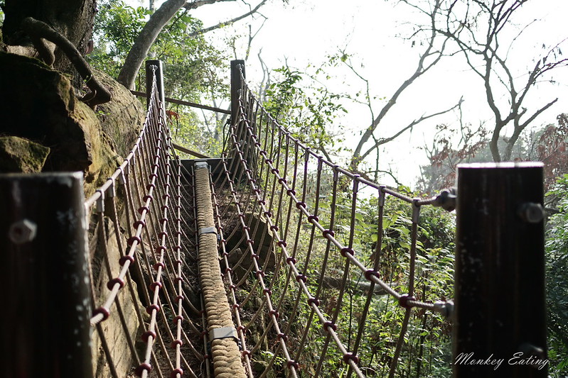 台中景點│大坑6號登山步道。峭壁繩索吊橋好刺激,沿途經觀音亭到風動石公園 @Nini and Blue 玩樂食記 DSC07417