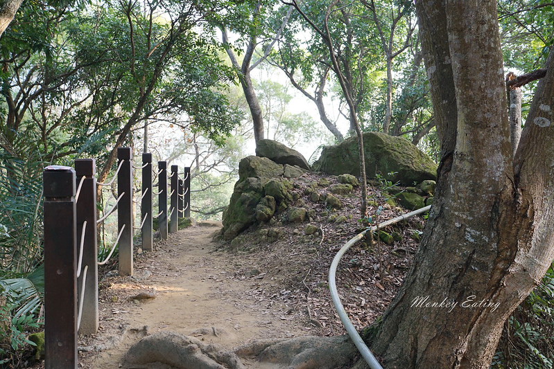 台中景點│大坑6號登山步道。峭壁繩索吊橋好刺激,沿途經觀音亭到風動石公園 @Nini and Blue 玩樂食記 DSC07412