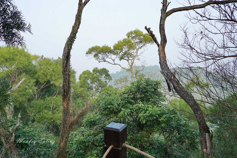 台中景點│大坑6號登山步道。峭壁繩索吊橋好刺激,沿途經觀音亭到風動石公園 @Nini and Blue 玩樂食記 DSC07408