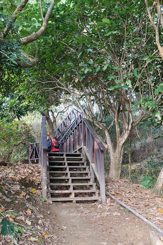 台中景點│大坑6號登山步道。峭壁繩索吊橋好刺激,沿途經觀音亭到風動石公園 @Nini and Blue 玩樂食記 DSC07401