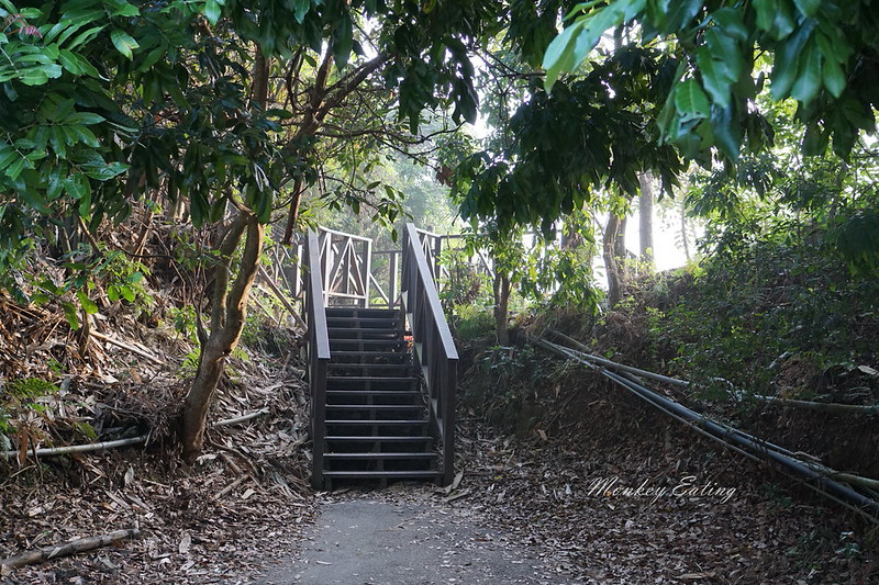 台中景點│大坑6號登山步道。峭壁繩索吊橋好刺激,沿途經觀音亭到風動石公園 @Nini and Blue 玩樂食記 DSC07400