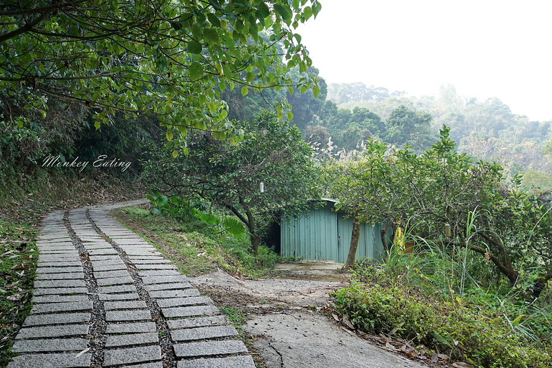 台中景點│大坑7號登山步道。適合親子健行悠閒散步步道,連接風動石公園,台中一日遊 @Nini and Blue 玩樂食記 DSC07440