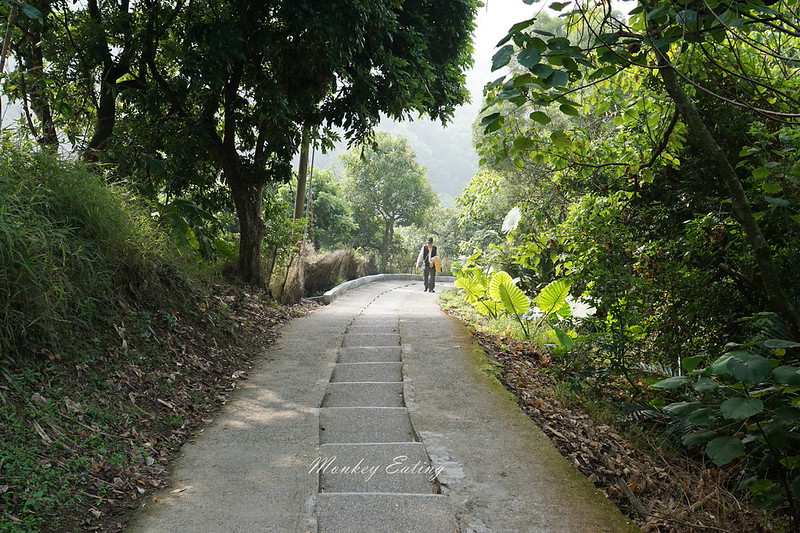 台中景點│大坑7號登山步道。適合親子健行悠閒散步步道,連接風動石公園,台中一日遊 @Nini and Blue 玩樂食記 DSC07445