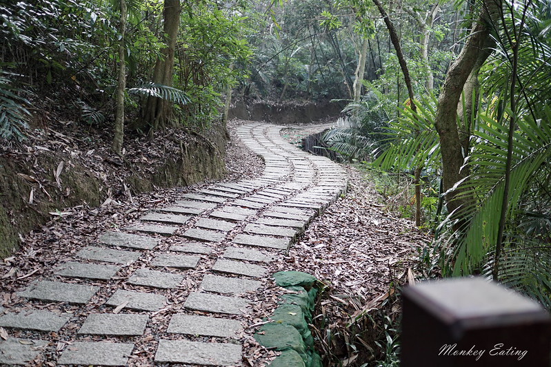 台中景點│大坑7號登山步道。適合親子健行悠閒散步步道,連接風動石公園,台中一日遊 @Nini and Blue 玩樂食記 DSC07438