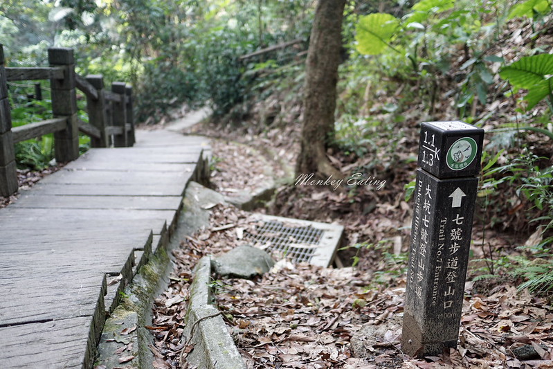 台中景點│大坑7號登山步道。適合親子健行悠閒散步步道,連接風動石公園,台中一日遊 @Nini and Blue 玩樂食記 DSC07436