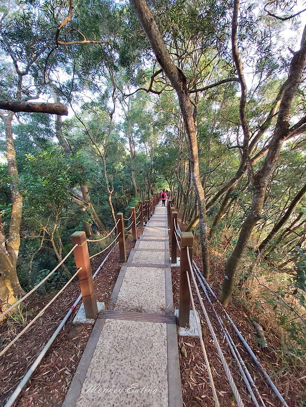 台中景點│大坑6號登山步道。峭壁繩索吊橋好刺激,沿途經觀音亭到風動石公園 @Nini and Blue 玩樂食記 20200105_082033_12