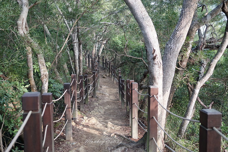 台中景點│大坑6號登山步道。峭壁繩索吊橋好刺激,沿途經觀音亭到風動石公園 @Nini and Blue 玩樂食記 DSC07407