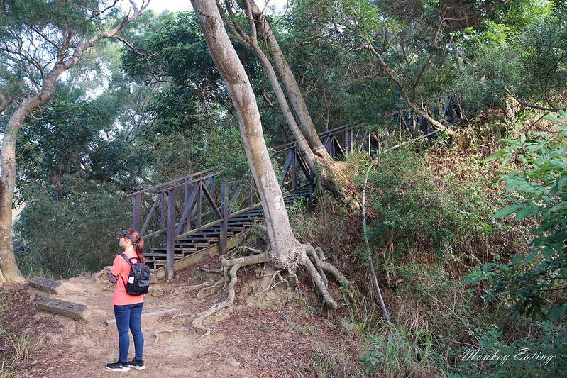 台中景點│大坑6號登山步道。峭壁繩索吊橋好刺激,沿途經觀音亭到風動石公園 @Nini and Blue 玩樂食記 DSC07402