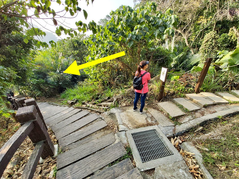 台中景點│大坑7號登山步道。適合親子健行悠閒散步步道,連接風動石公園,台中一日遊 @Nini and Blue 玩樂食記 20200105_084926_1