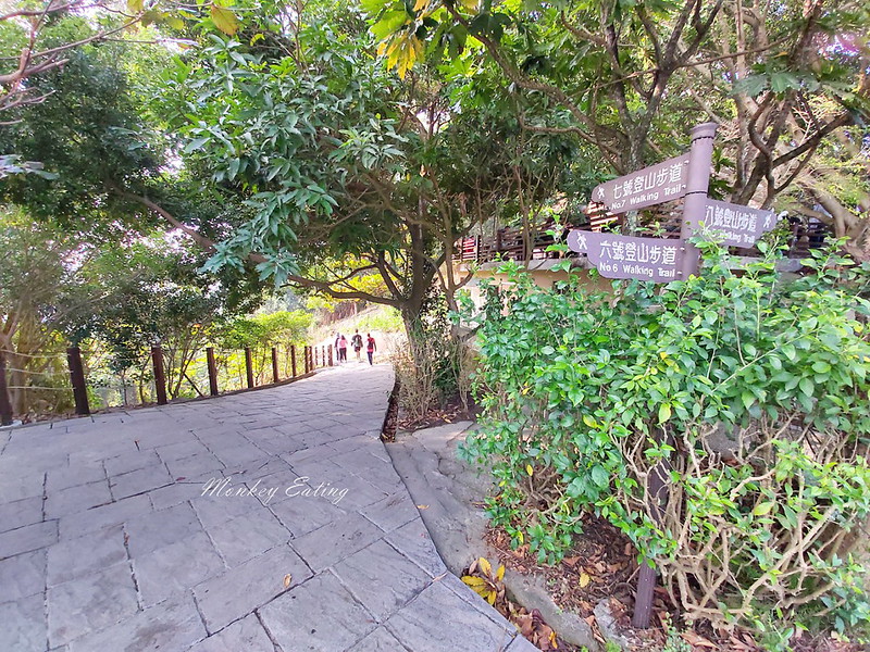 大坑登山步道-風動石公園│相連六、七、八號步道的休息中繼站,參拜南海寺福德祠 @Nini and Blue 玩樂食記 20200105_084754_9