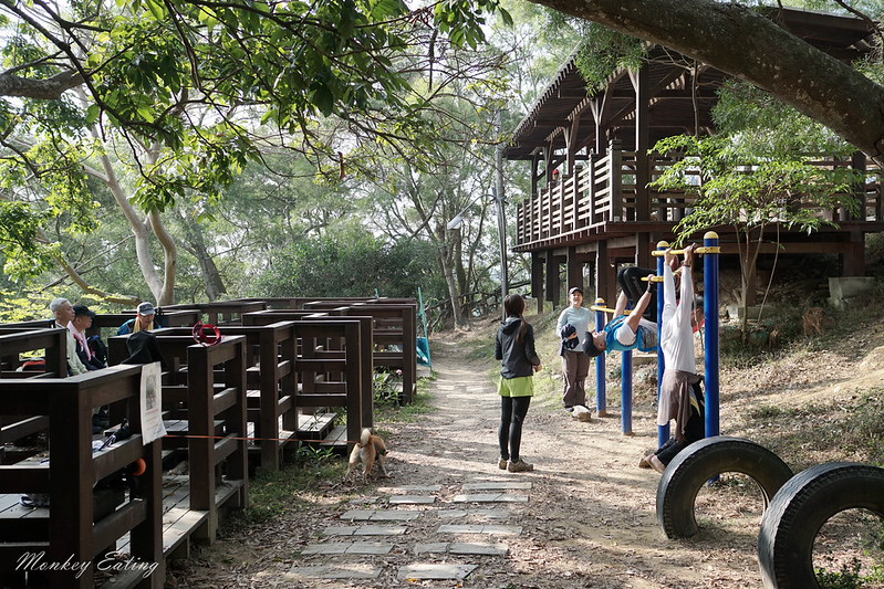 大坑登山步道-風動石公園│相連六、七、八號步道的休息中繼站,參拜南海寺福德祠 @Nini and Blue 玩樂食記 DSC07797
