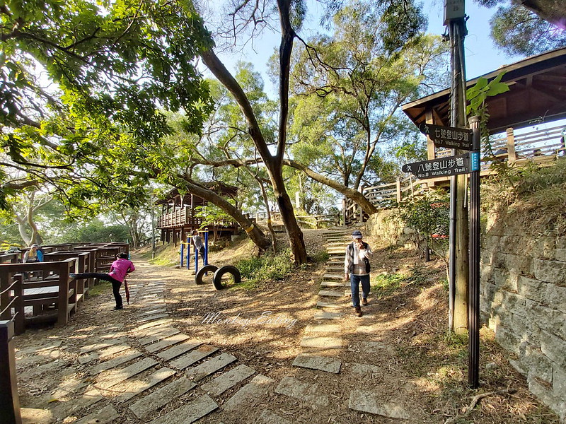 大坑登山步道-風動石公園│相連六、七、八號步道的休息中繼站,參拜南海寺福德祠 @Nini and Blue 玩樂食記 20200119_090835_13