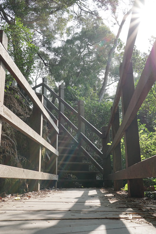 台中景點│大坑8號登山步道。挑戰枕木步道直達風動石公園,沿途風景幽美,台中一日遊 @Nini and Blue 玩樂食記 DSC07834