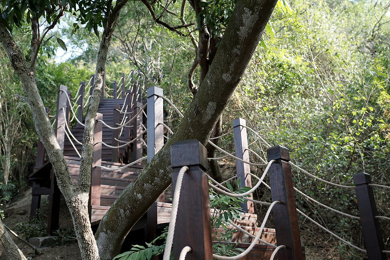 台中景點│大坑8號登山步道。挑戰枕木步道直達風動石公園,沿途風景幽美,台中一日遊 @Nini and Blue 玩樂食記 DSC07829
