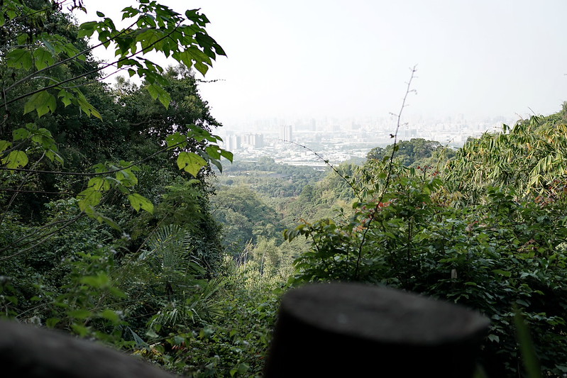 台中景點│大坑8號登山步道。挑戰枕木步道直達風動石公園,沿途風景幽美,台中一日遊 @Nini and Blue 玩樂食記 DSC07824