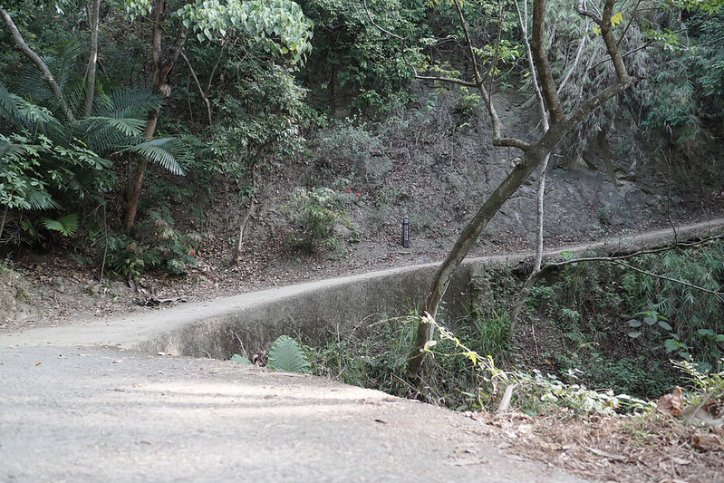 台中景點│大坑8號登山步道。挑戰枕木步道直達風動石公園,沿途風景幽美,台中一日遊 @Nini and Blue 玩樂食記 DSC07819