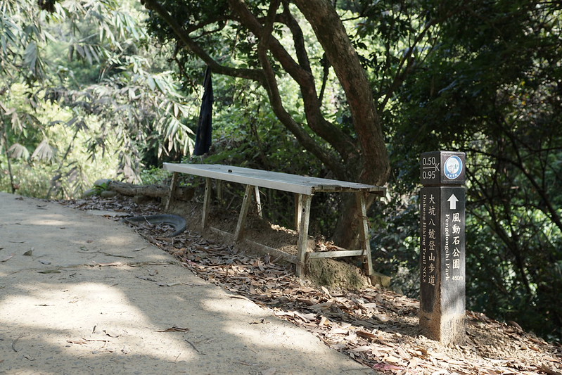 台中景點│大坑8號登山步道。挑戰枕木步道直達風動石公園,沿途風景幽美,台中一日遊 @Nini and Blue 玩樂食記 DSC07817