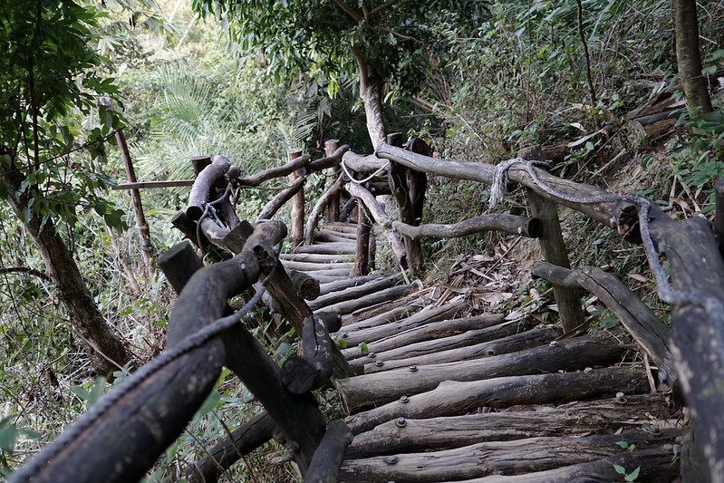 台中景點│大坑8號登山步道。挑戰枕木步道直達風動石公園,沿途風景幽美,台中一日遊 @Nini and Blue 玩樂食記 DSC07806