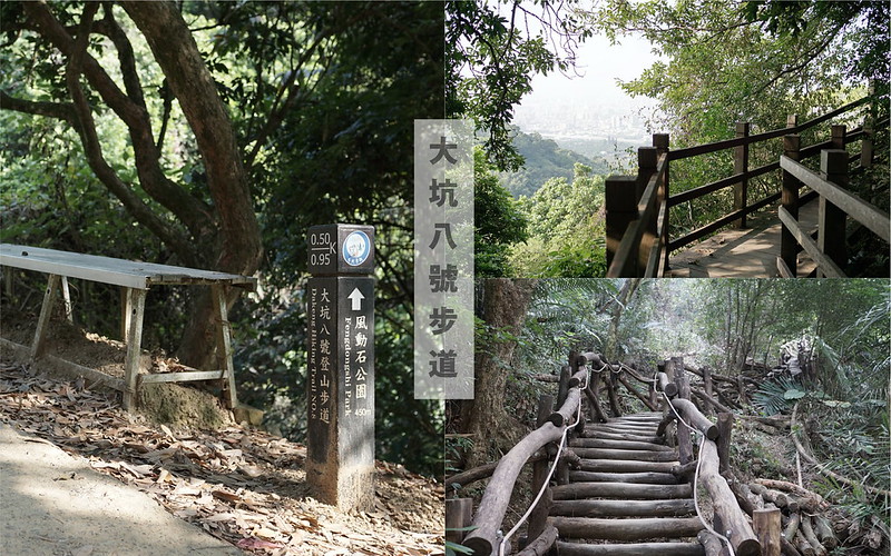 台中景點│大坑8號登山步道。挑戰枕木步道直達風動石公園,沿途風景幽美,台中一日遊 @Nini and Blue 玩樂食記 8號步道