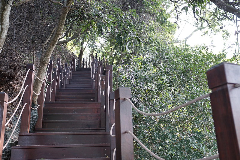 台中景點│大坑8號登山步道。挑戰枕木步道直達風動石公園,沿途風景幽美,台中一日遊 @Nini and Blue 玩樂食記 DSC07827