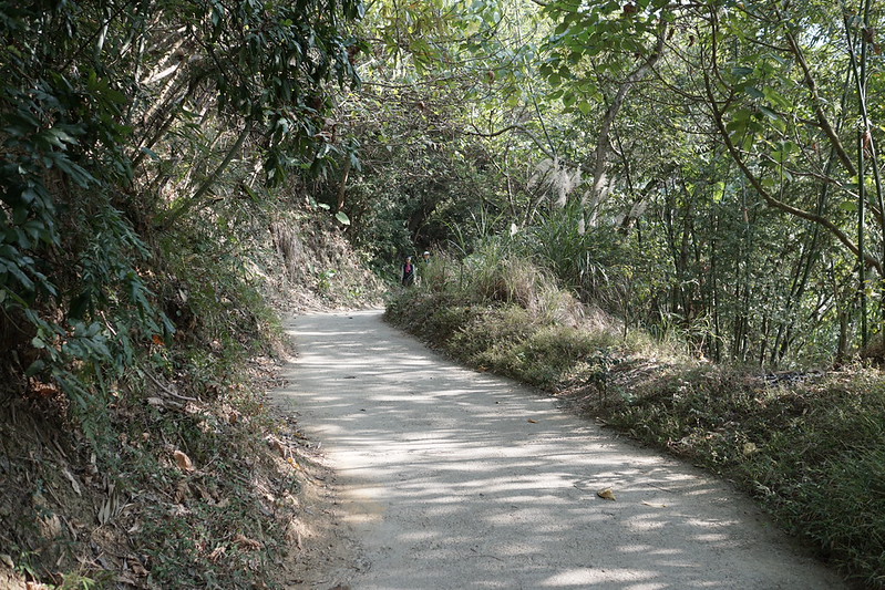 台中景點│大坑8號登山步道。挑戰枕木步道直達風動石公園,沿途風景幽美,台中一日遊 @Nini and Blue 玩樂食記 DSC07811