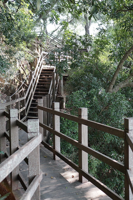 台中景點│大坑8號登山步道。挑戰枕木步道直達風動石公園,沿途風景幽美,台中一日遊 @Nini and Blue 玩樂食記 DSC07833