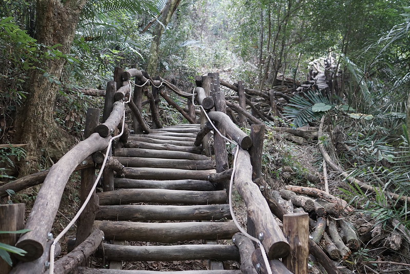 台中景點│大坑8號登山步道。挑戰枕木步道直達風動石公園,沿途風景幽美,台中一日遊 @Nini and Blue 玩樂食記 DSC07822