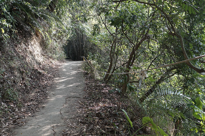 台中景點│大坑8號登山步道。挑戰枕木步道直達風動石公園,沿途風景幽美,台中一日遊 @Nini and Blue 玩樂食記 DSC07820