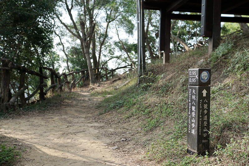 台中景點│大坑8號登山步道。挑戰枕木步道直達風動石公園,沿途風景幽美,台中一日遊 @Nini and Blue 玩樂食記 DSC07798
