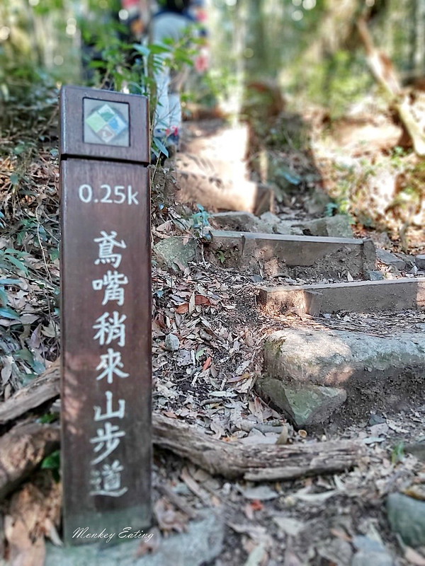 台中鳶嘴山│台灣最美中級山脈!挑戰驚險峭壁攀岩,此生必訪超美景色盡收眼底,台中登山旅遊景點推薦 @Nini and Blue 玩樂食記 均聖手機_200208_0080