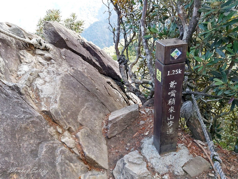 台中鳶嘴山│台灣最美中級山脈!挑戰驚險峭壁攀岩,此生必訪超美景色盡收眼底,台中登山旅遊景點推薦 @Nini and Blue 玩樂食記 均聖手機_200208_0011