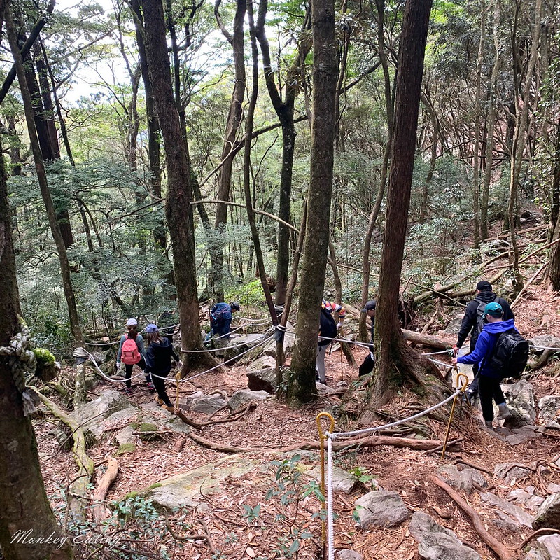 台中鳶嘴山│台灣最美中級山脈!挑戰驚險峭壁攀岩,此生必訪超美景色盡收眼底,台中登山旅遊景點推薦 @Nini and Blue 玩樂食記 Ryan手機_200209_0022