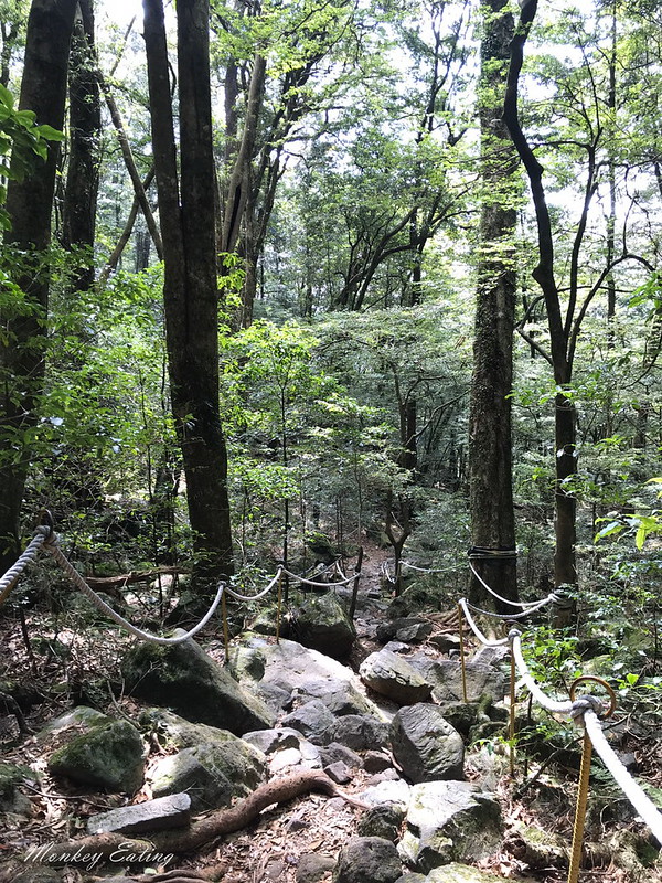 台中鳶嘴山│台灣最美中級山脈!挑戰驚險峭壁攀岩,此生必訪超美景色盡收眼底,台中登山旅遊景點推薦 @Nini and Blue 玩樂食記 鳶嘴_200209_0143
