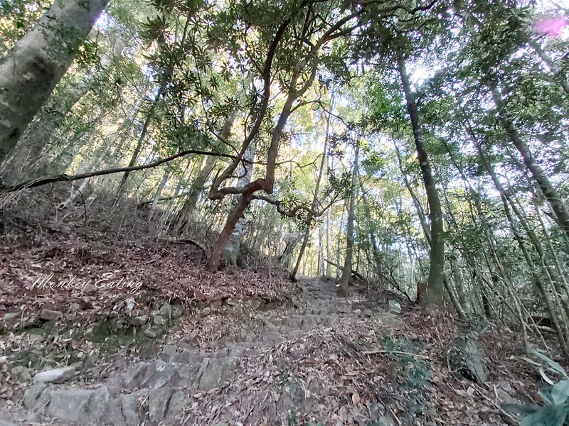 台中鳶嘴山│台灣最美中級山脈!挑戰驚險峭壁攀岩,此生必訪超美景色盡收眼底,台中登山旅遊景點推薦 @Nini and Blue 玩樂食記 均聖手機_200208_0083