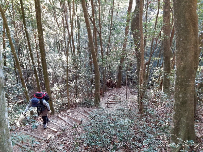 台中鳶嘴山│台灣最美中級山脈!挑戰驚險峭壁攀岩,此生必訪超美景色盡收眼底,台中登山旅遊景點推薦 @Nini and Blue 玩樂食記 均聖手機_200208_0081