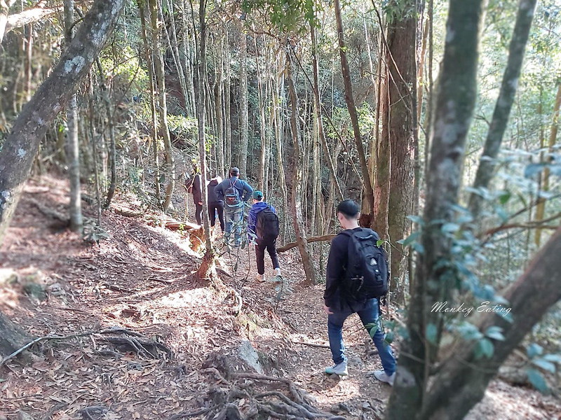 台中鳶嘴山│台灣最美中級山脈!挑戰驚險峭壁攀岩,此生必訪超美景色盡收眼底,台中登山旅遊景點推薦 @Nini and Blue 玩樂食記 均聖手機_200208_0072