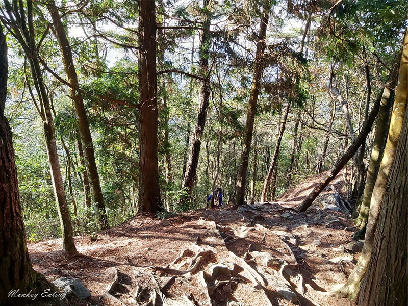 台中鳶嘴山│台灣最美中級山脈!挑戰驚險峭壁攀岩,此生必訪超美景色盡收眼底,台中登山旅遊景點推薦 @Nini and Blue 玩樂食記 均聖手機_200208_0050