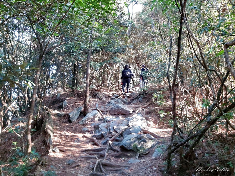 台中鳶嘴山│台灣最美中級山脈!挑戰驚險峭壁攀岩,此生必訪超美景色盡收眼底,台中登山旅遊景點推薦 @Nini and Blue 玩樂食記 均聖手機_200208_0048