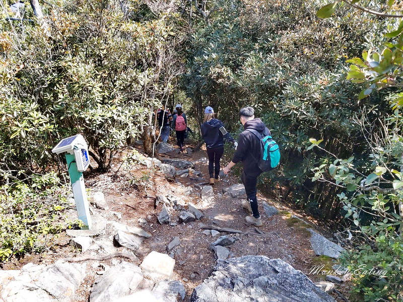 台中鳶嘴山│台灣最美中級山脈!挑戰驚險峭壁攀岩,此生必訪超美景色盡收眼底,台中登山旅遊景點推薦 @Nini and Blue 玩樂食記 均聖手機_200208_0007