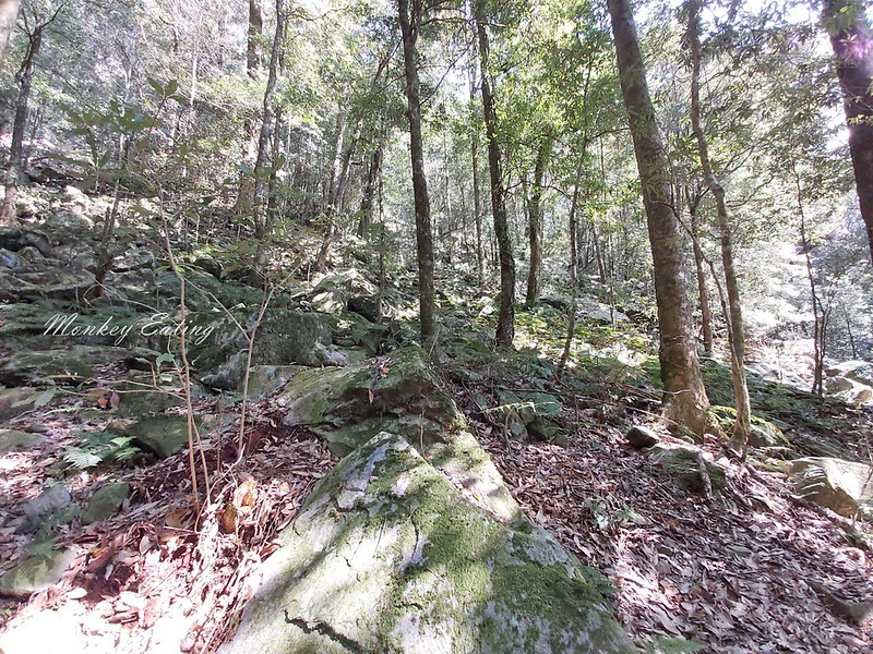 台中鳶嘴山│台灣最美中級山脈!挑戰驚險峭壁攀岩,此生必訪超美景色盡收眼底,台中登山旅遊景點推薦 @Nini and Blue 玩樂食記 均聖手機_200208_0004