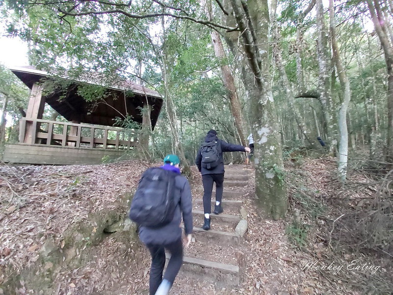 台中鳶嘴山│台灣最美中級山脈!挑戰驚險峭壁攀岩,此生必訪超美景色盡收眼底,台中登山旅遊景點推薦 @Nini and Blue 玩樂食記 均聖手機_200208_0085