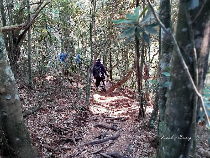 台中鳶嘴山│台灣最美中級山脈!挑戰驚險峭壁攀岩,此生必訪超美景色盡收眼底,台中登山旅遊景點推薦 @Nini and Blue 玩樂食記 均聖手機_200208_0075