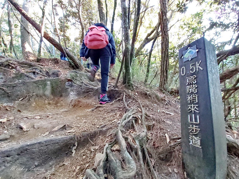 台中鳶嘴山│台灣最美中級山脈!挑戰驚險峭壁攀岩,此生必訪超美景色盡收眼底,台中登山旅遊景點推薦 @Nini and Blue 玩樂食記 均聖手機_200208_0070