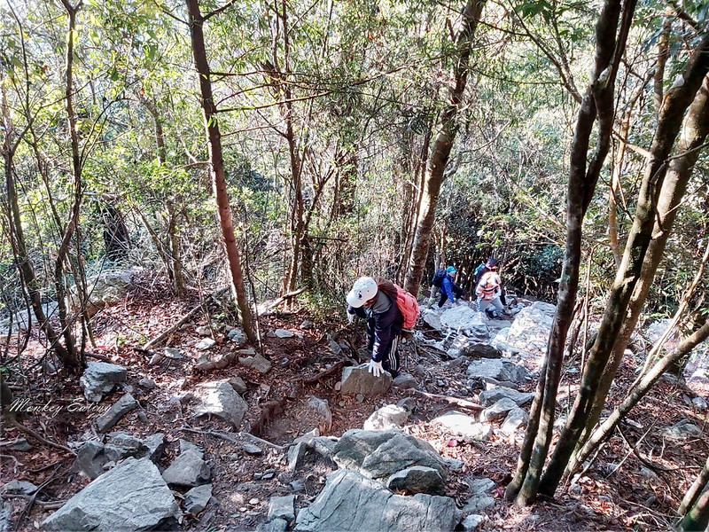台中鳶嘴山│台灣最美中級山脈!挑戰驚險峭壁攀岩,此生必訪超美景色盡收眼底,台中登山旅遊景點推薦 @Nini and Blue 玩樂食記 均聖手機_200208_0065